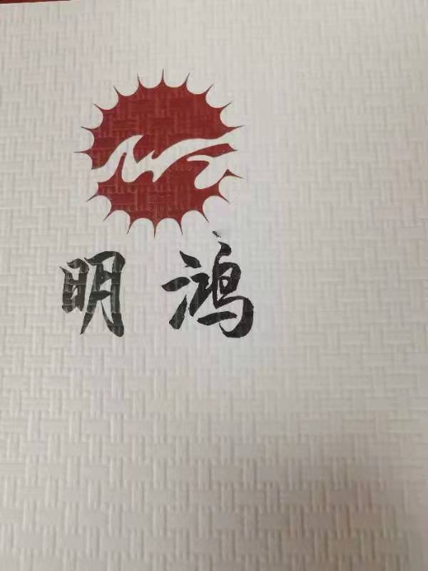 中山市明鸿光电科技有限公司