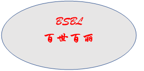 恵州百世百丽电子有限公司